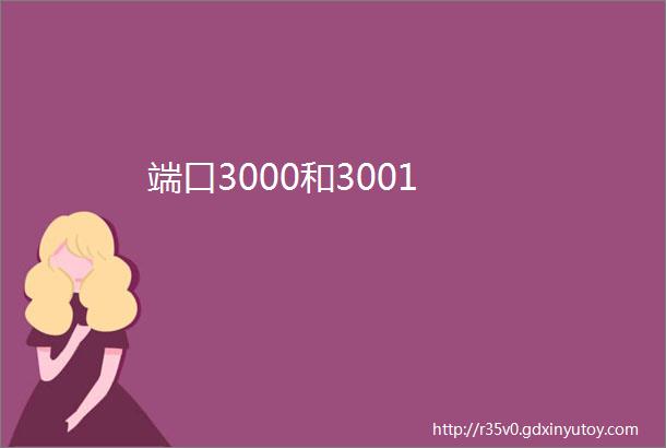 端口3000和3001