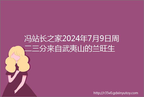 冯站长之家2024年7月9日周二三分来自武夷山的兰旺生