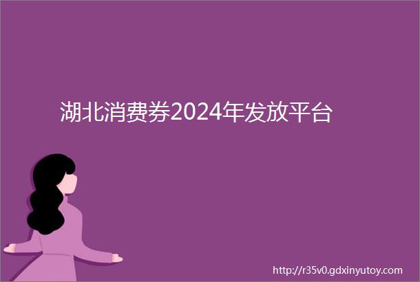 湖北消费券2024年发放平台