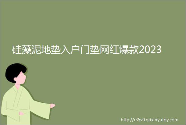 硅藻泥地垫入户门垫网红爆款2023