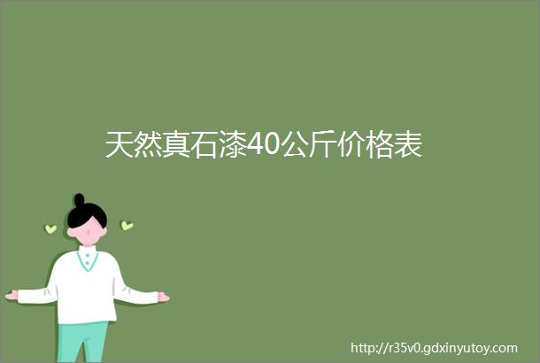 天然真石漆40公斤价格表