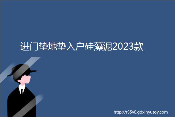 进门垫地垫入户硅藻泥2023款