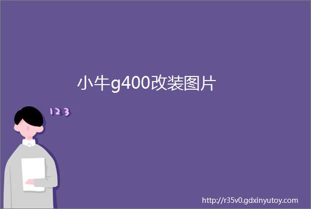 小牛g400改装图片