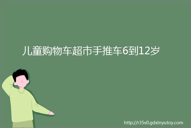 儿童购物车超市手推车6到12岁